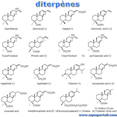 diterpene