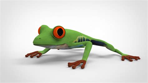 frog3d