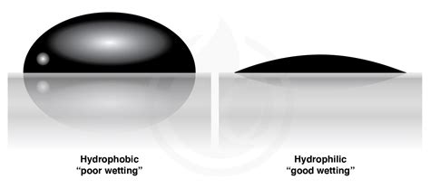 hydrophobicity