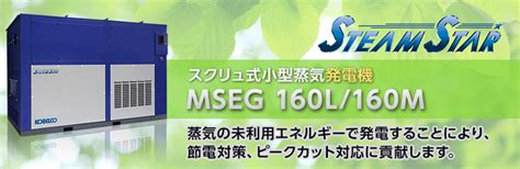 mseg