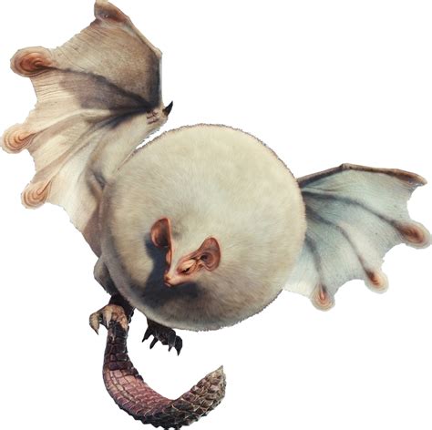 paolumu