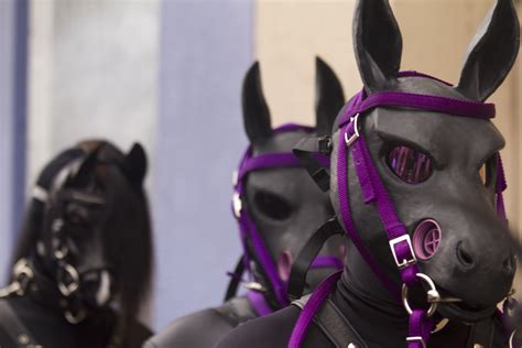 ponyplay