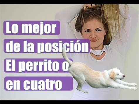 pornoperrito