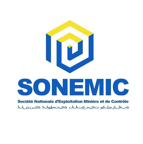 sonemic