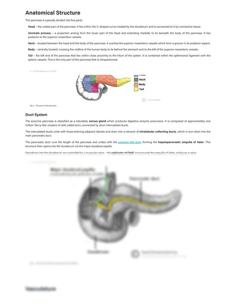 teachmeanatomy