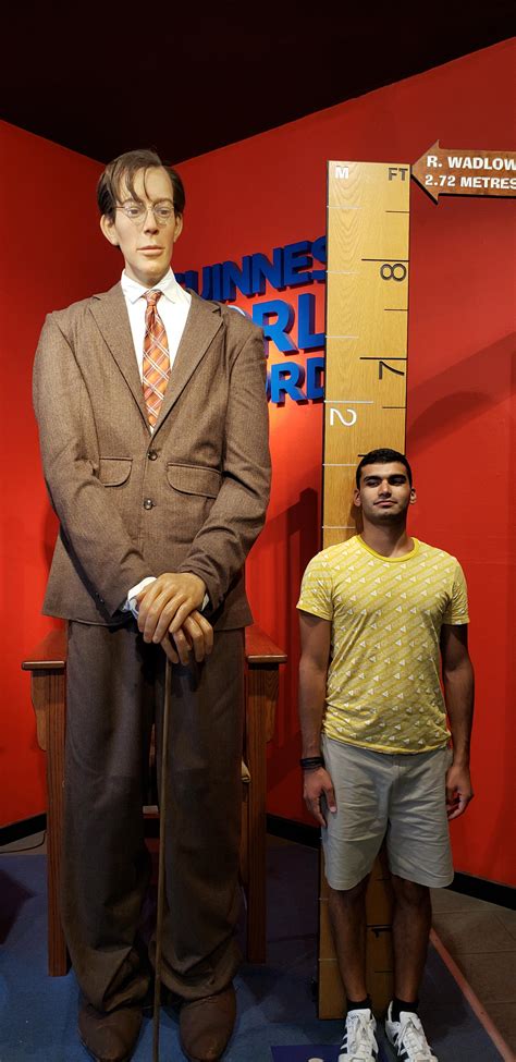 wadlow